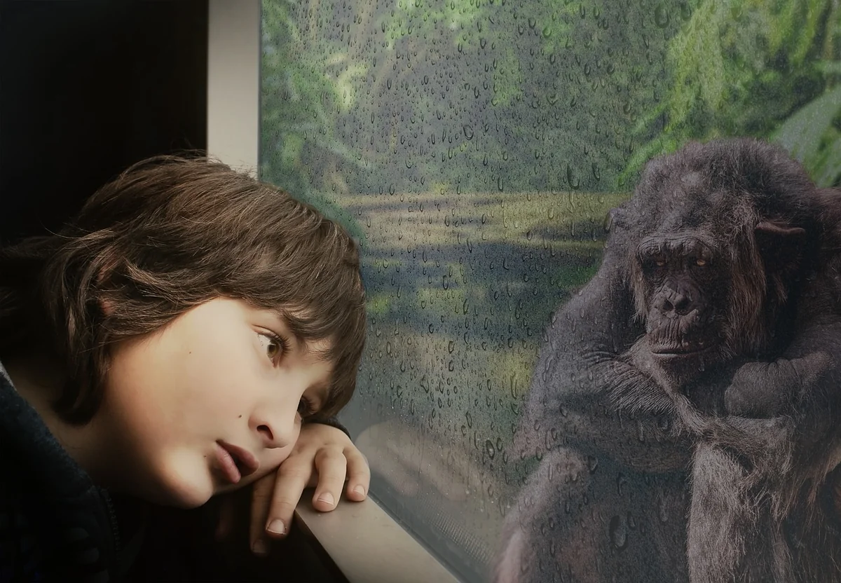 Hypermétropie enfant cause : d'où ça vient, et est-ce qu'on peut l'éviter ?