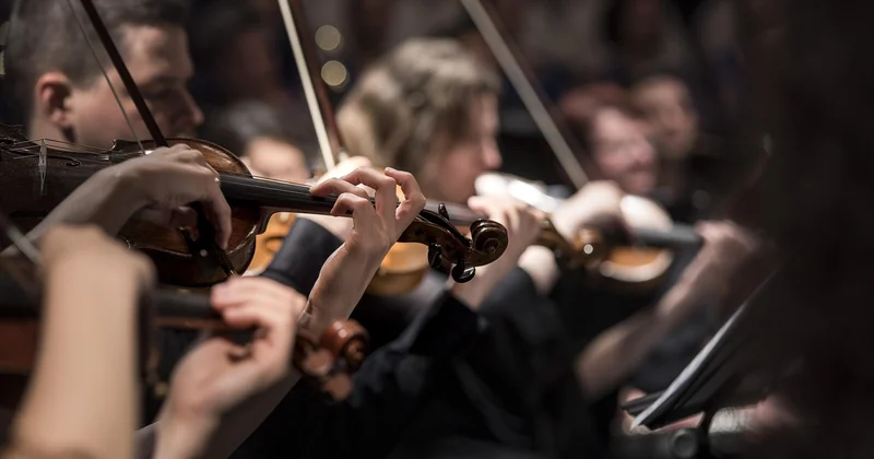 Le schéma d'un orchestre symphonique : pourquoi personne n'est assis au hasard