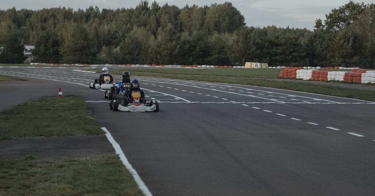 découvrez l'excitation du karting, un sport de course palpitant pour tous les âges. que vous soyez débutant ou pilote expérimenté, vivez des moments inoubliables sur notre circuit aménagé, avec des karts adaptés à chaque niveau. rejoignez-nous pour une journée ludique et competitive en famille ou entre amis !