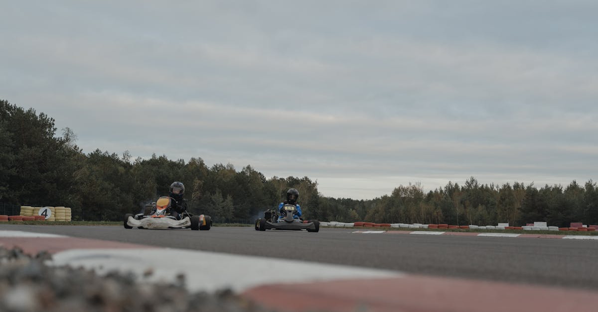 découvrez le plaisir palpitant du go-karting ! que vous soyez débutant ou pilote chevronné, vivez des sensations fortes sur notre circuit adapté à tous les niveaux. amis, famille ou collègues, venez défier vos adversaires dans une ambiance conviviale et électrisante. réservez votre session dès maintenant et laissez l'adrénaline vous emporter !