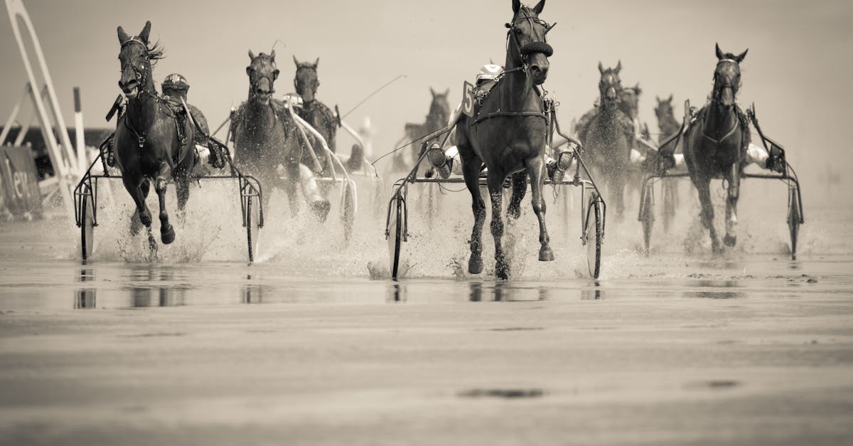 découvrez l'univers du racing, où la vitesse et l'adrénaline prennent le devant de la scène. plongez dans les dernières actualités, événements et tendances du monde de la course automobile et vivez l'expérience de la compétition au plus haut niveau.
