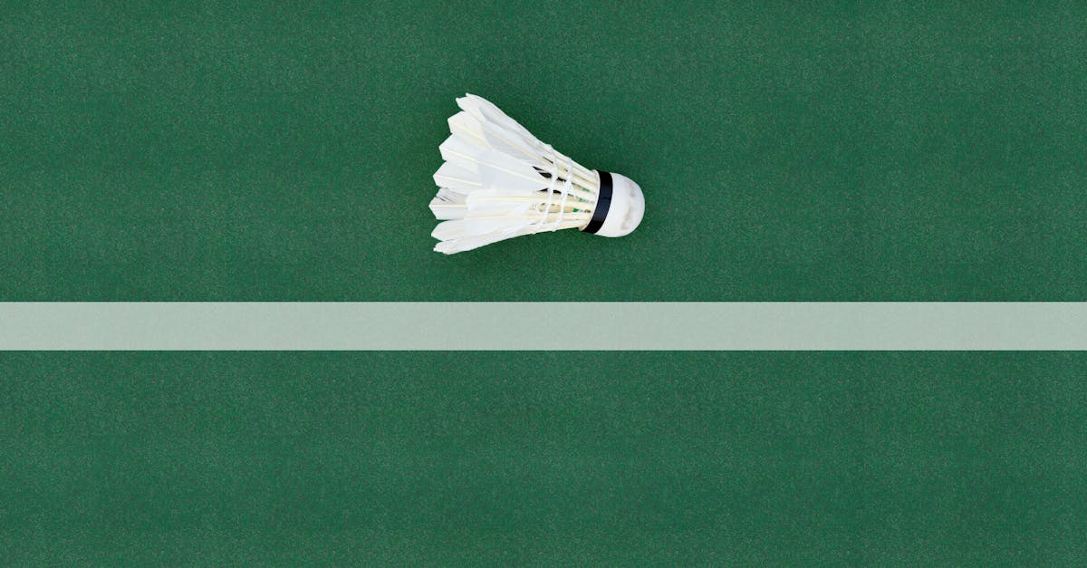 découvrez l'univers captivant des championnats, où les meilleurs athlètes s'affrontent pour atteindre l'excellence. suivez l'actualité, les résultats et les highlights des compétitions qui passionnent les fans de sport à travers le monde.