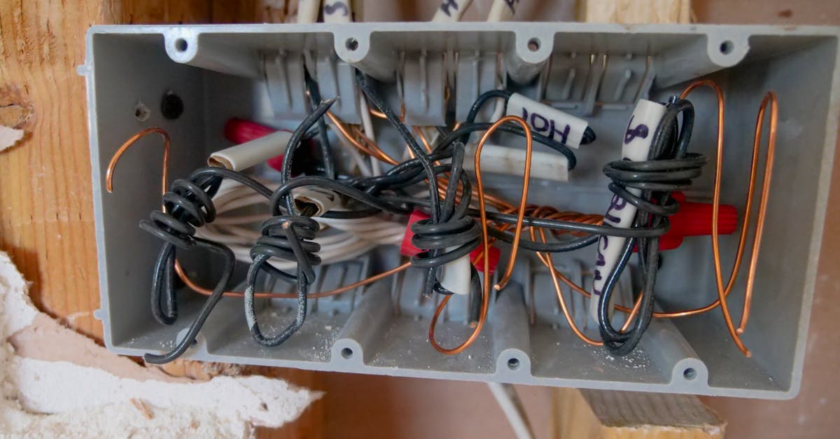 découvrez les dernières ouvertures de circuits, des événements palpitants et des nouveauté à ne pas manquer. plongez dans l'univers des courses avec nos articles sur les nouveaux tracés et les expériences à vivre sur la piste.